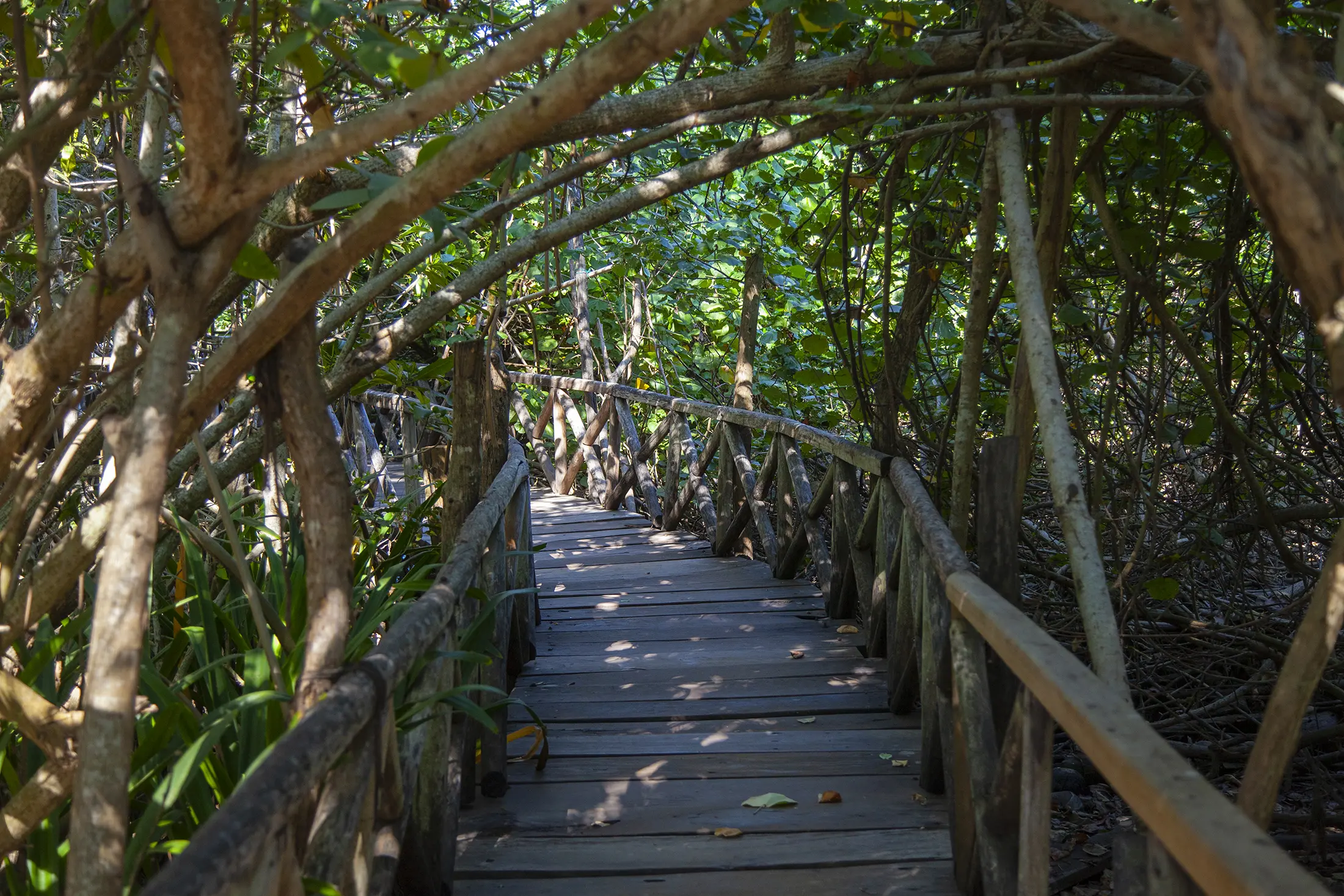 Eco tour from Huatulco