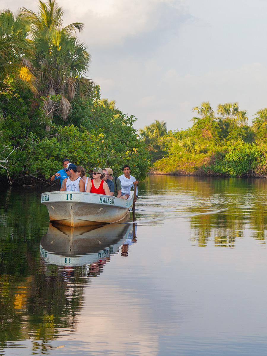 Boat with visitors in the mangrove on the La Ventanilla Eco Tour