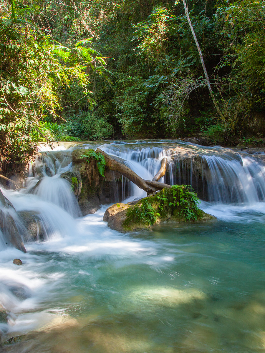 Waterfall and pool in the jungle on the waterfall tour