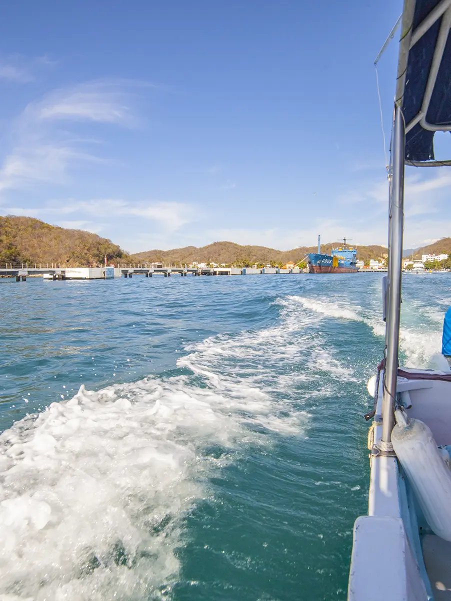 Snorkeling in the bays of Huatulco