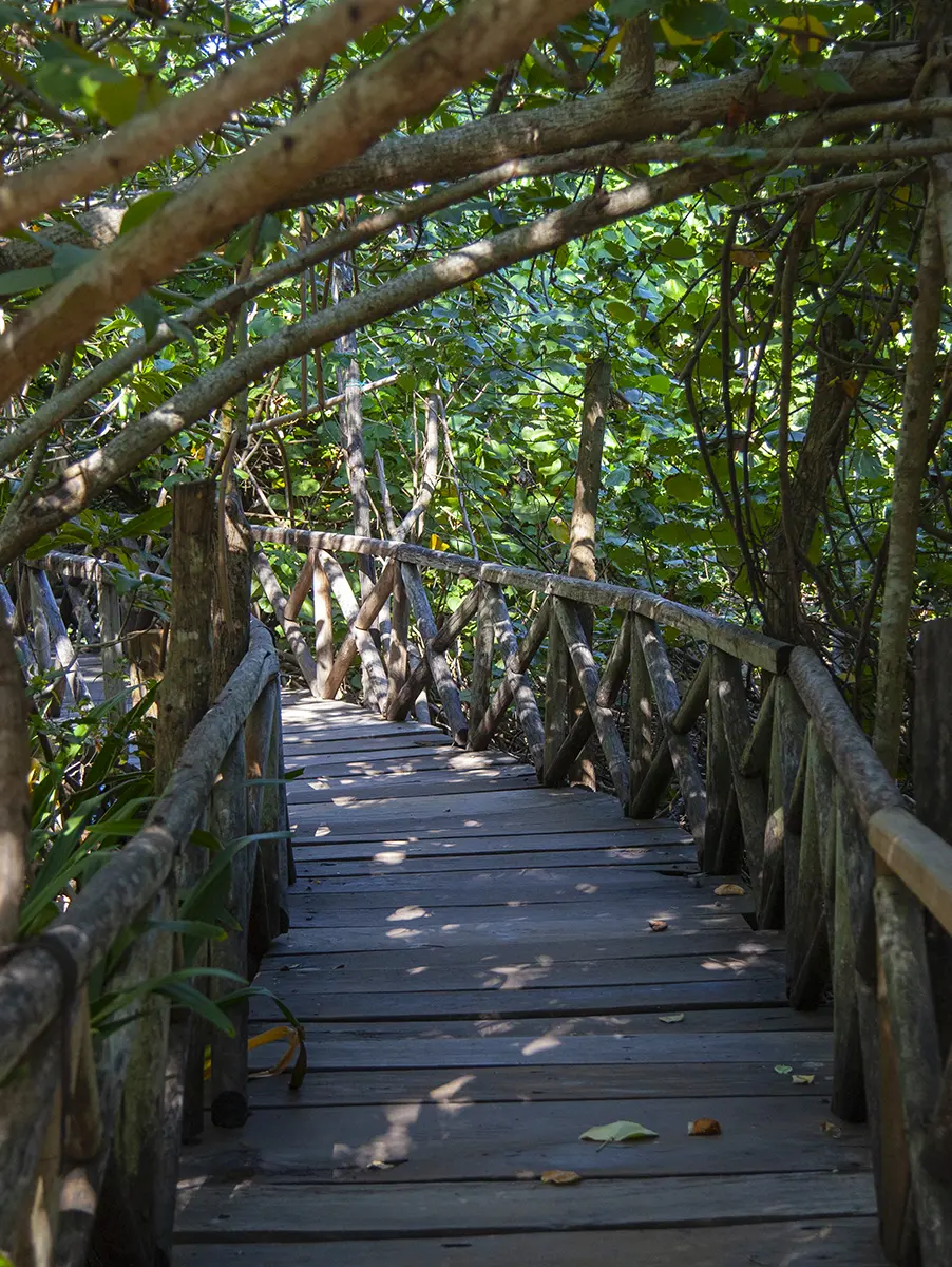 Puerto Ángel during the Eco tour from Huatulco