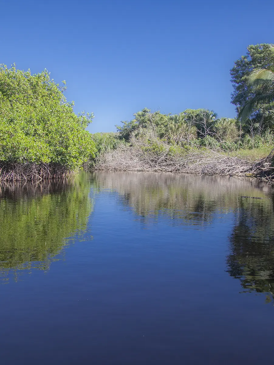 Community project on the La Ventanilla Eco tour